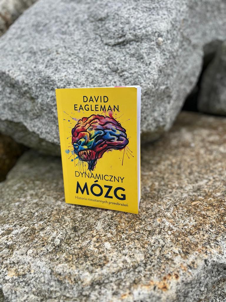 Recenzja książki „Dynamiczny mózg. Historia nieustannych przeobrażeń” David Eagleman